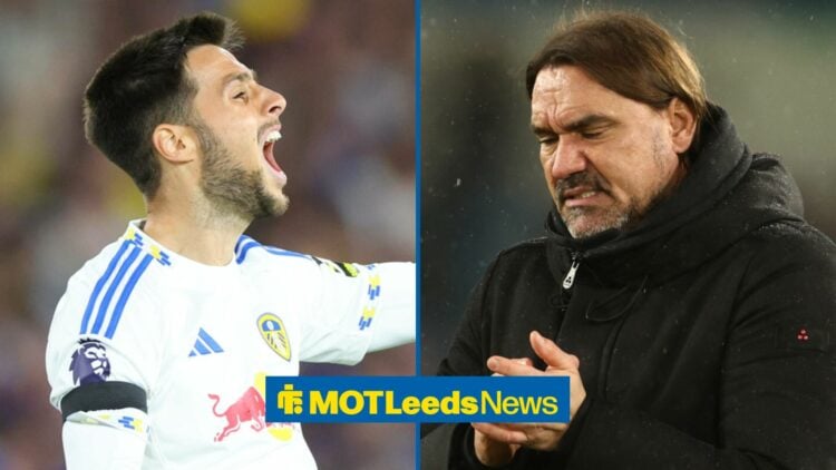 Ilia Gruev looking towards Daniel Farke