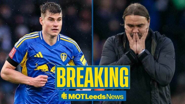 Jaka Bijol looking in direction of a sad Daniel Farke.