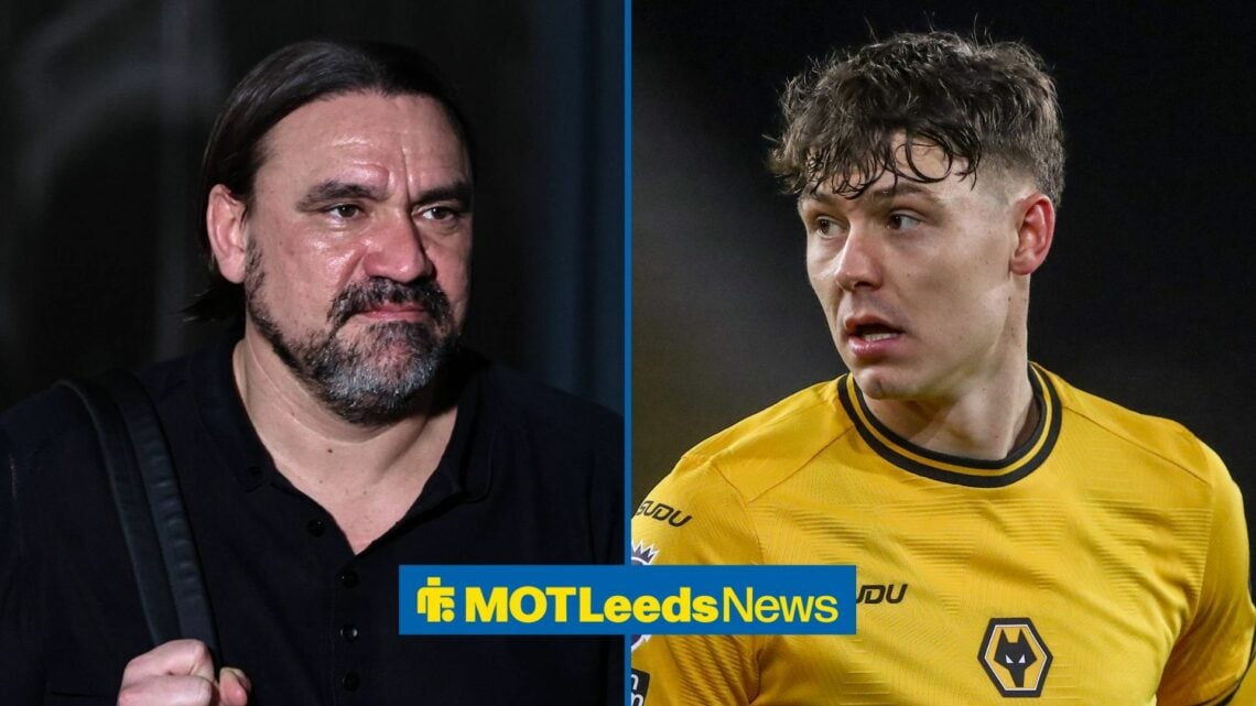 Leeds United boss Daniel Farke smiling, Jorgen Strand Larsen looking concerned.