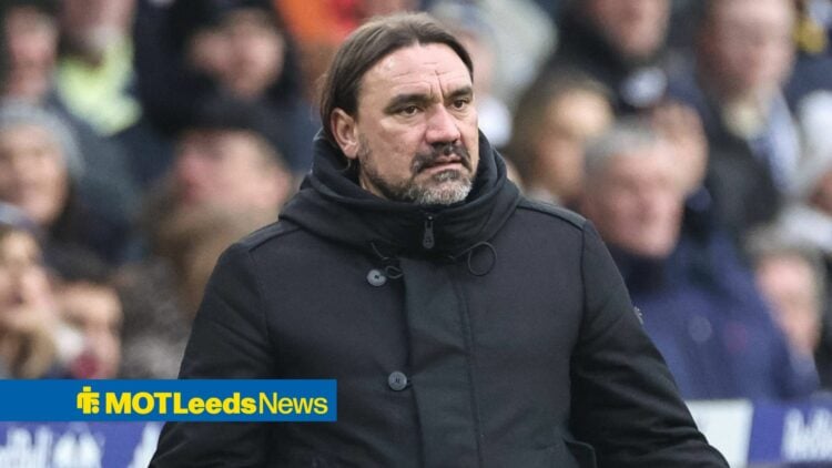 Daniel Farke looks perplexed