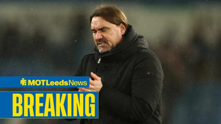 Daniel Farke looking frustrated