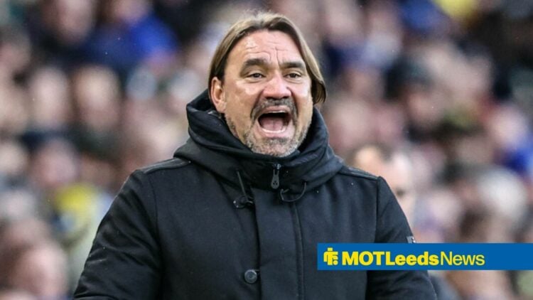 Daniel Farke shouting on the touchline