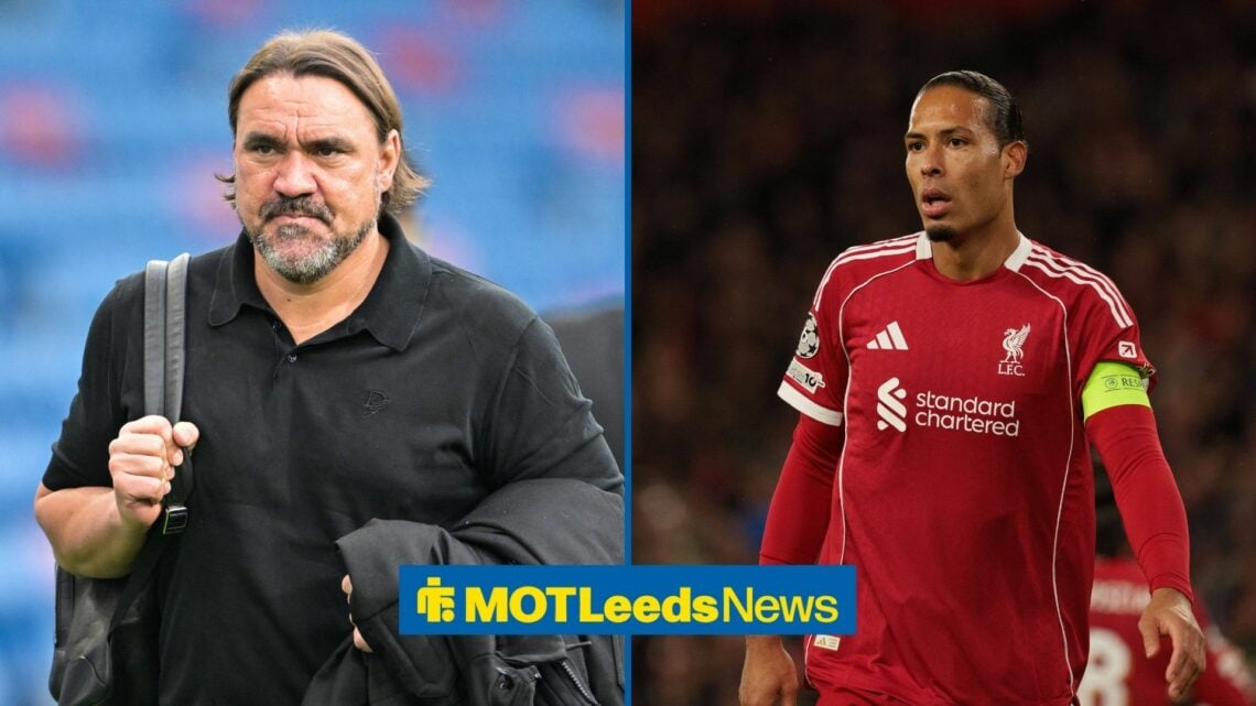 A split image of Leeds boss Daniel Farke and Liverpool's Virgil van Dijk