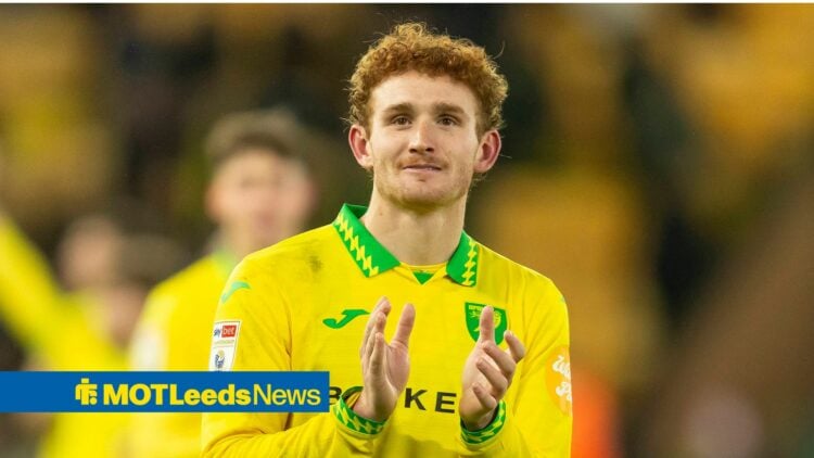 Josh Sargent in a Norwich kit