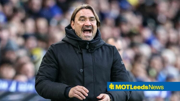 Daniel Farke screaming on the touchline