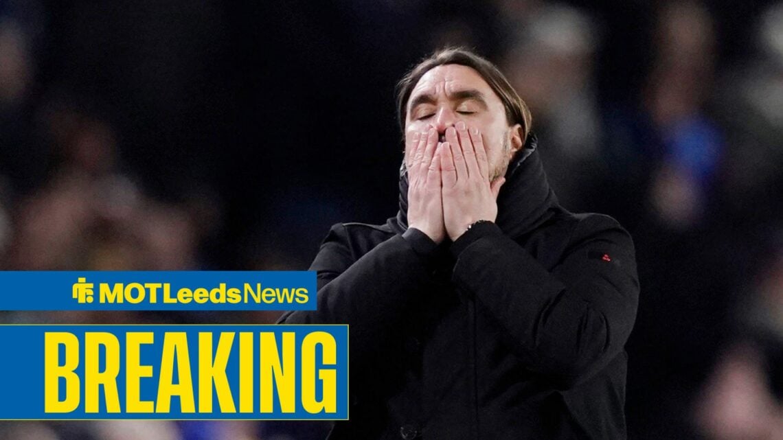 Daniel Farke with his head in his hands