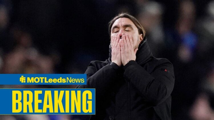 Daniel Farke with his head in his hands