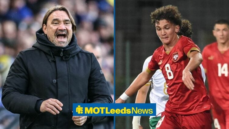 Daniel Farke giving instructions on the sidelines with Edward Ibrovic-Fletcher in action for Serbia's youth team
