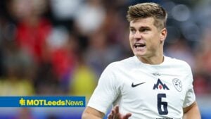 SLOVENIA AT DEUTSCHE BANK PARK STADIUM ON JULY 01, 2024 IN FRANKFURT AM MAIN NZ JAKA BIJOL