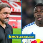 Leeds United boss Daniel Farke looking moody vs Nottingham Forest, Wilfried Gnonto Of Leeds United during the Leeds United v Crystal Palace Premier League match.