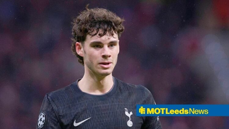 Former Leeds United prospect Archie Gray playing for Tottenham