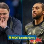 Split image of Leeds United manager Daniel Farke and Dominic Calvert-Lewin