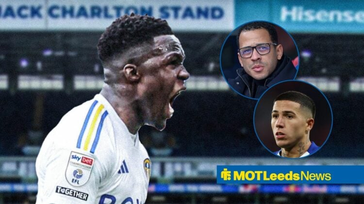 Wilfried Gnonto yells, with Liam Rosenior and Enzo Fernandez inset