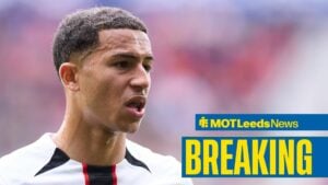 Leeds United striker Mateo Joseph in action for Mallorca