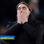 Daniel Farke looking worried