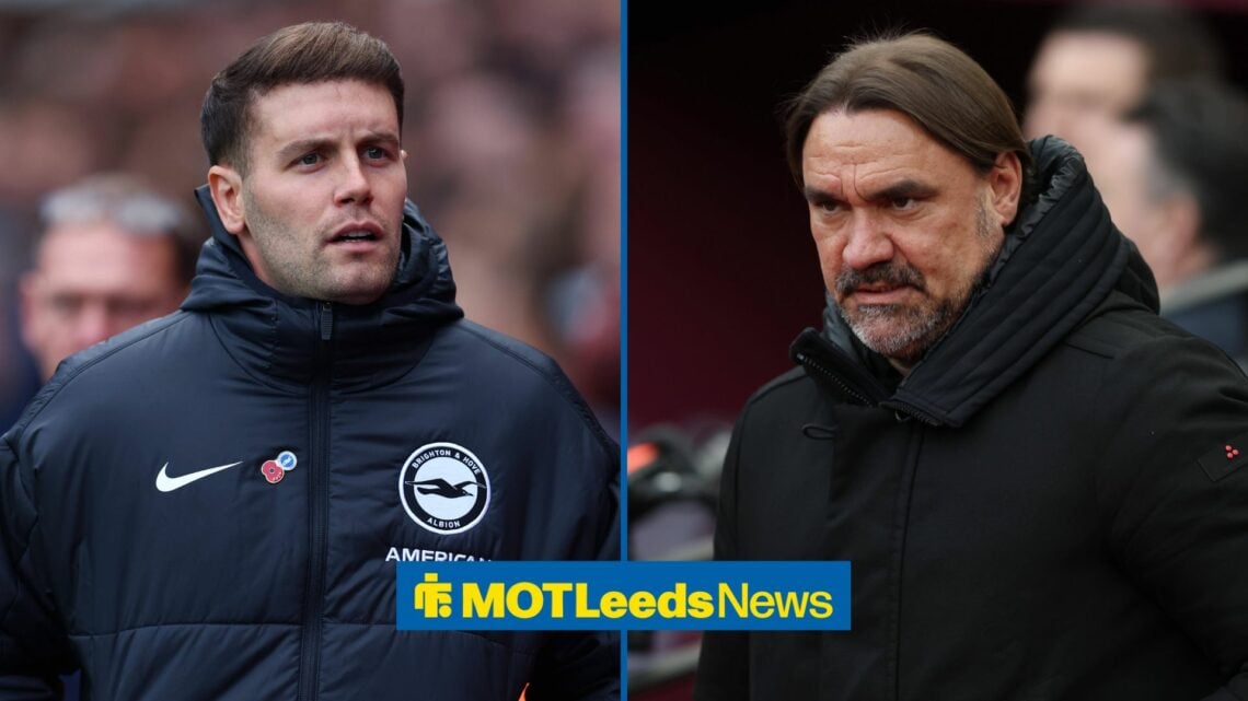 Fabian Hurzlere for Brighton on the left with Daniel Farke on the right