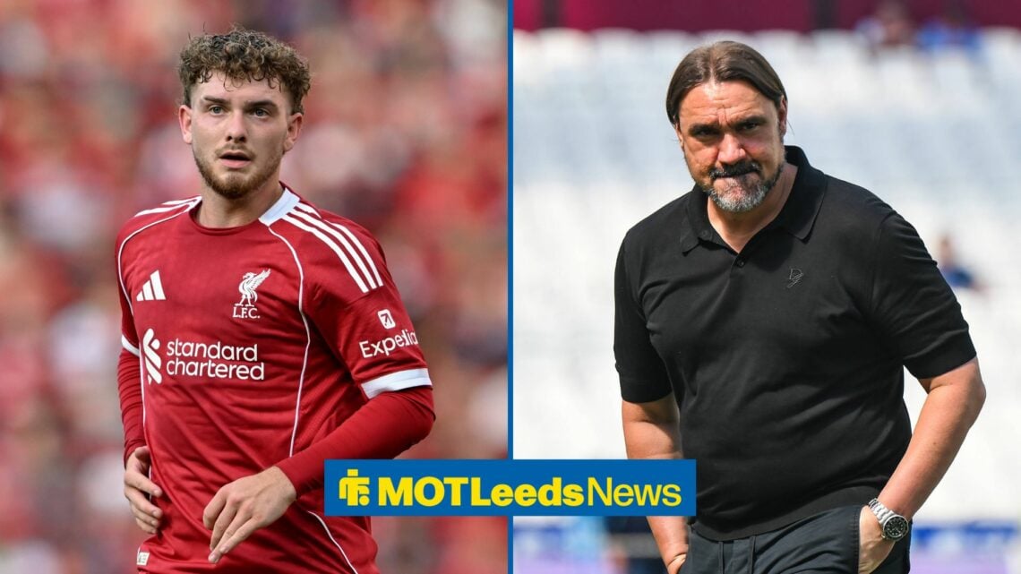 Harvey Elliott in action for Liverpool on the left with Daniel Farke for Leeds on the right