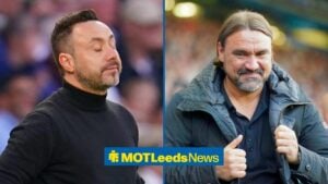 Split image of Tottenham boss Roberto De Zerbi and Leeds United manager Daniel Farke