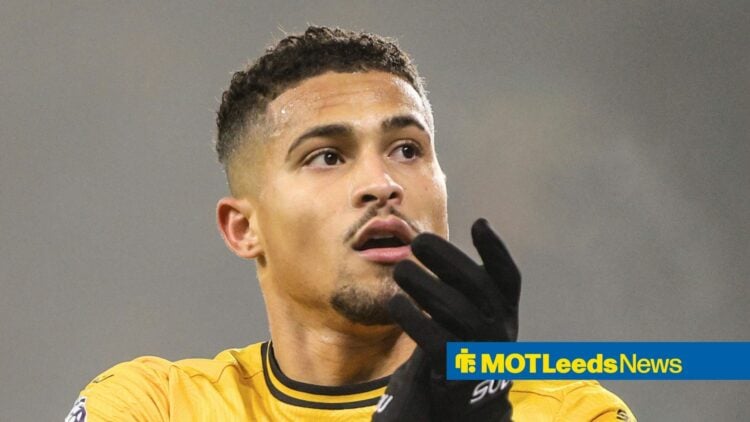 Wolves midfielder Joao Gomes