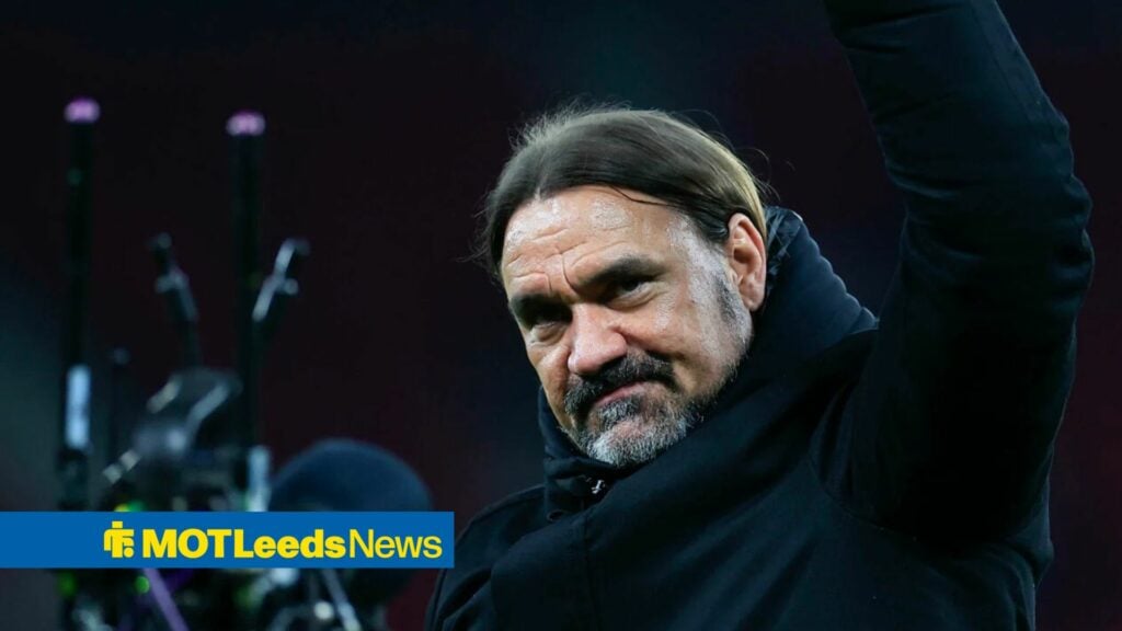 Daniel Farke celebrating a Leeds win