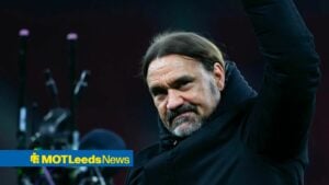 Daniel Farke celebrating a Leeds win