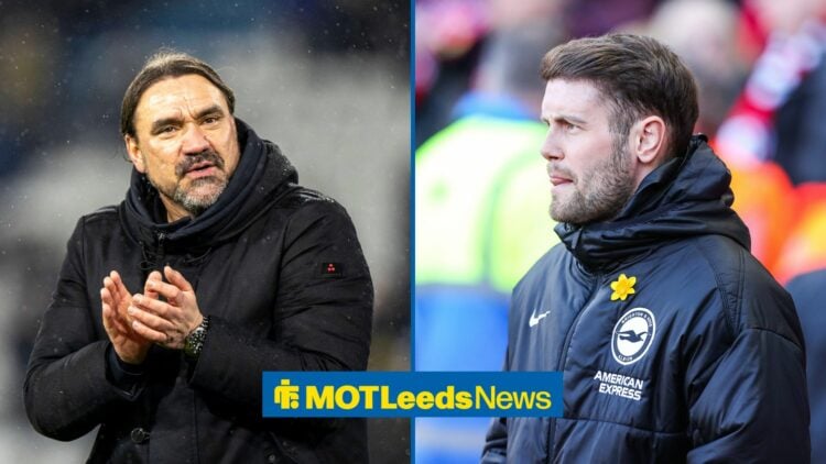 A 50-50 split image of Daniel Farke and Fabian Hurzeler.