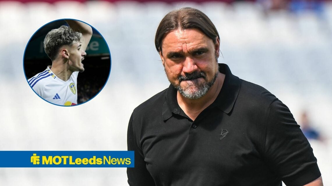Daniel Farke looks on with Kereim Alajbegovic in circular inset