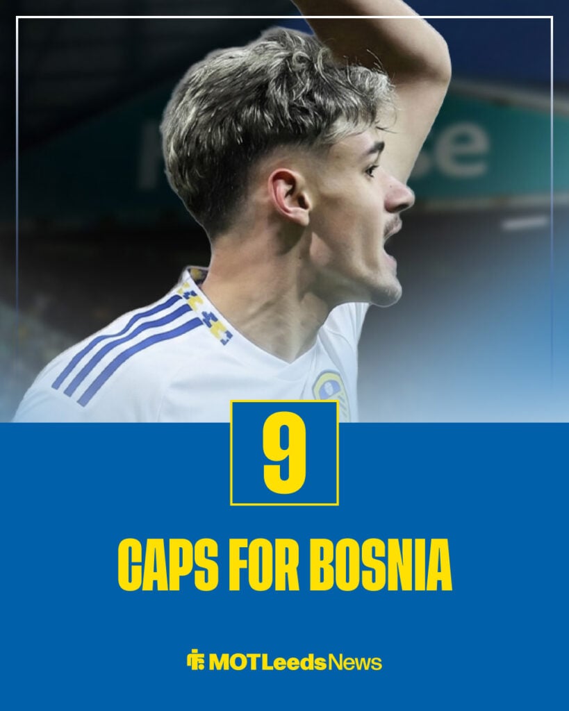 Kerim Alajbegovic caps for Bosnia